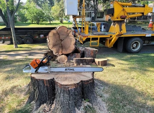 Tree Aaa AAA Tree Removal